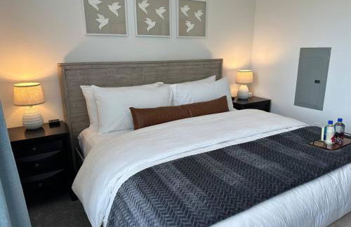 The Dublin Designer 1st Floor Available Now - Foto 16