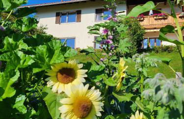 Ferienwohnungen Rodler - Photo 15