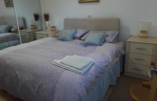 Lady lane stables - Foto 12