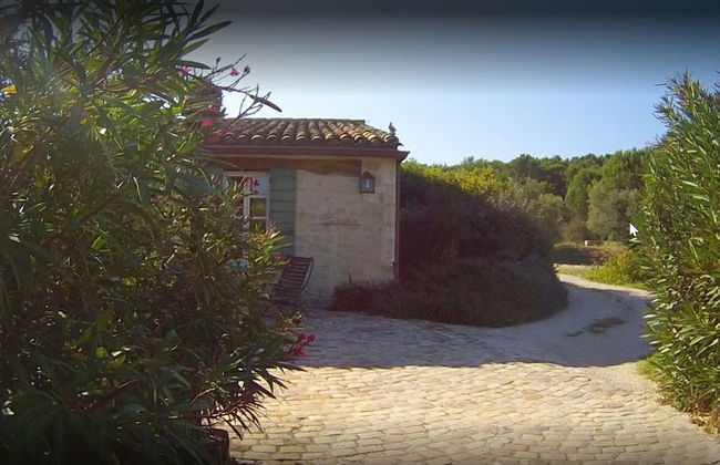 Le Mazet De La Dame - Foto 14