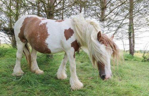 The Stables - Photo 21