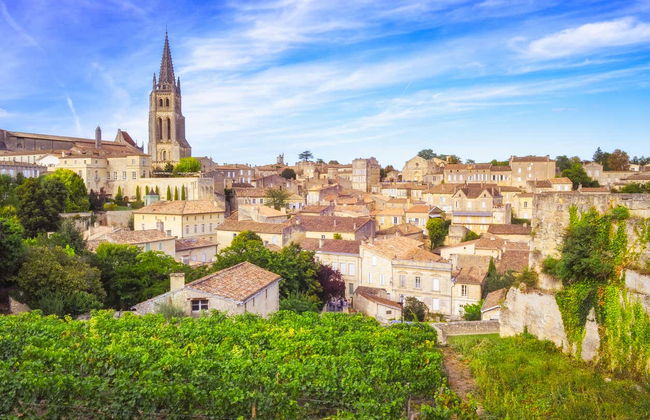 Excursion dans la région viticole de Saint-Émilion - Foto 2