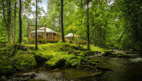 Spring Ridge Luxury Yurt - Creekside Glamping with Private Hot Tub - Foto 5