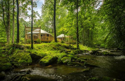 Spring Ridge Luxury Yurt - Creekside Glamping with Private Hot Tub - Foto 5