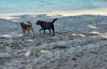 Luxury house Andrijana - Photo 37