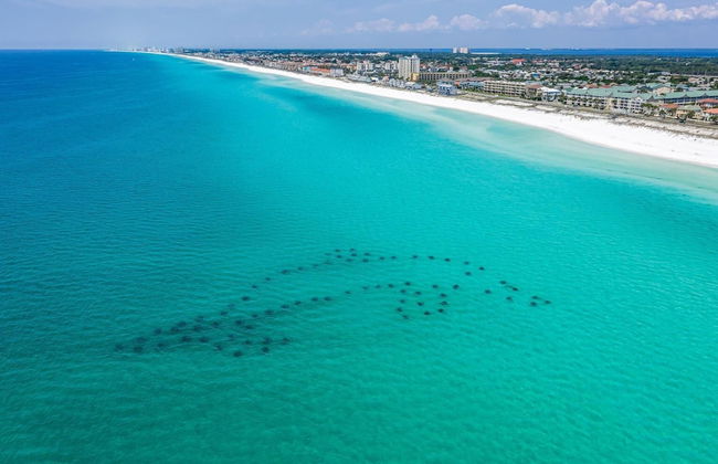 Sandprints B3 - Miramar Sands - Foto 30