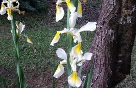 Casa Sorelle Baiocchi - Foto 19