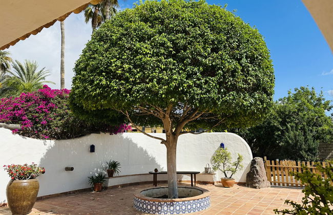 Finca Ingala - Foto 5