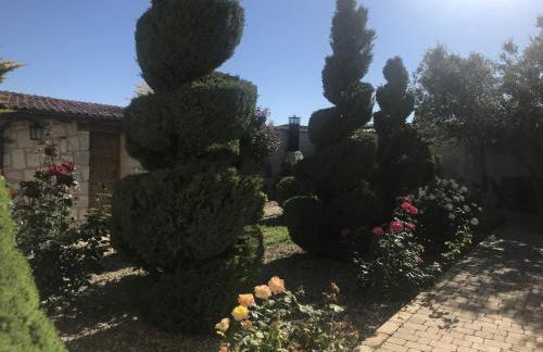 Las Espigas - Foto 21