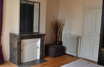 Les sternes de st Mathurin sur Loire , terrasse sur la Loire - Photo 10