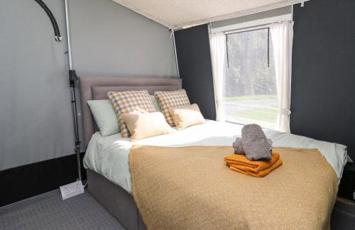 The Kingfisher - Foto 11