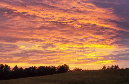 Luxury Cabin w/ Game Room & Hot Tub at Cave Run Lake - Foto 32