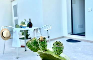 VISCHI Roof con TERRAZZO e vista - Foto 1