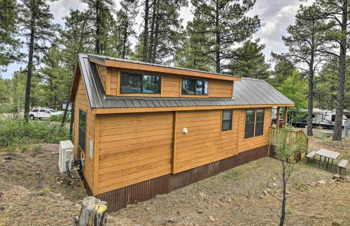 Pagosa Springs Tiny Cabin Fish, Hike, Ski and Soak! - Foto 24