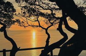 CAN ROMY APPARTEMENT T2 A - à 80m de la plage Cala Montgo - Foto 17