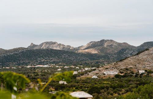 Feel Filoti - Foto 48