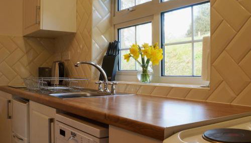 Brown Snout - Foto 4