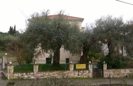 Villa Dimitra - Foto 31