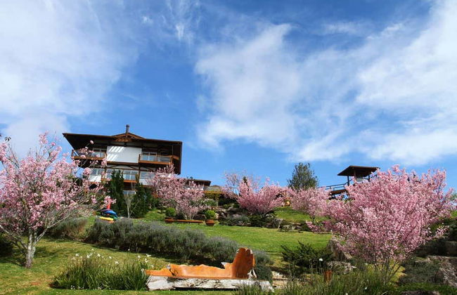 Prana Park Day Trip - Photo 7