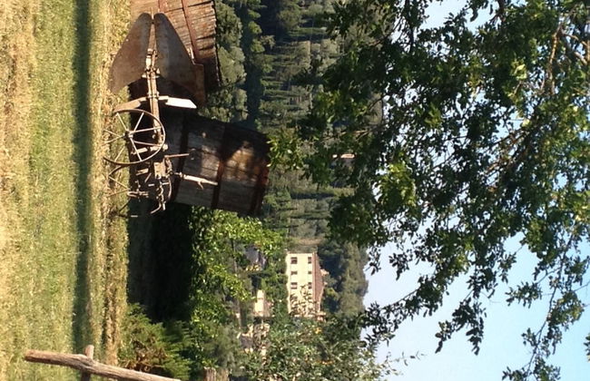 Agriturismo Podere Ficareto - Foto 74