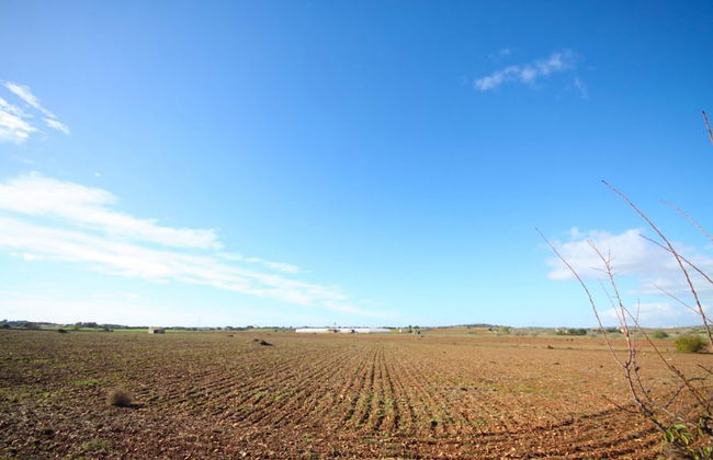 Aubadallet in Vilafranca de Bonany - Foto 32
