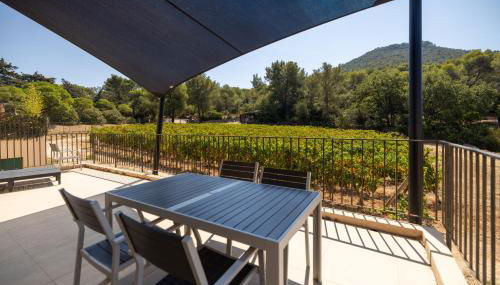 Domaine de la Navicelle - Foto 4