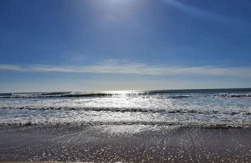 T2 cozy face dunes et océan - Thalasso et golf - Foto 46