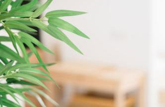 Apartamento Casa Gallardo - Foto 15