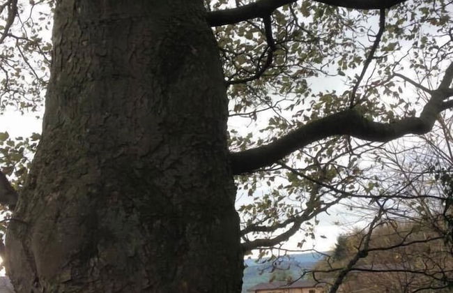 Long Mountain Centre - Foto 9