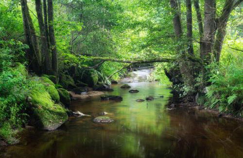 Ferienwohnung Behnke - Foto 42