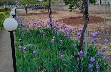 Luxury Villa Ntina - Foto 49