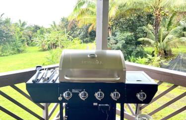 THE HONOMU HOUSE - Gorgeous, Spacious 4Bd2Ba Home near Waterfalls and Hilo, Sleeps 12! - Foto 32