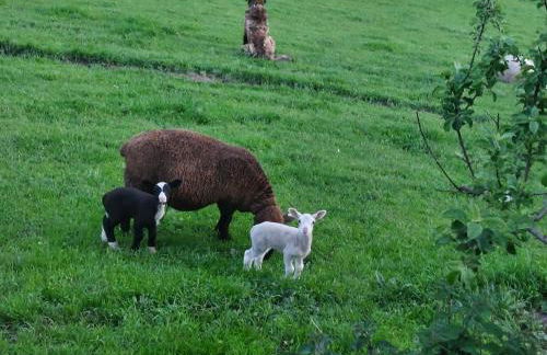 Casa Nayala - Foto 66