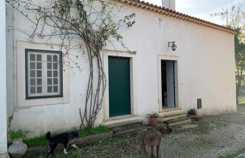 Santuário SOS Animal - Foto 28