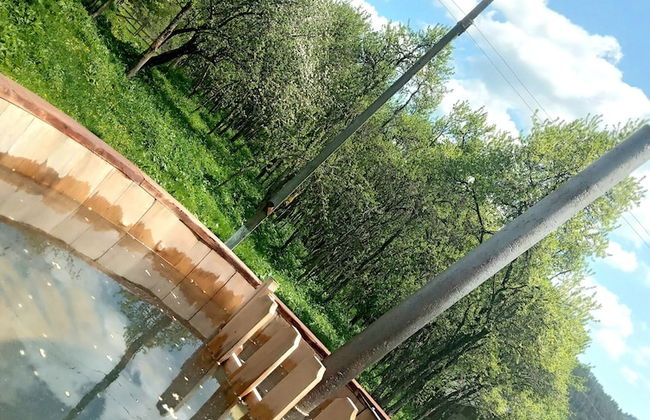 Room in Guest Room - Cozy Rural Retreat in Roşia Montana - Photo 10