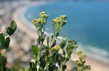 Casa de Praia em Bombinhas com Vista 3 quartos - Photo 28