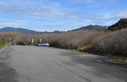 Surfside Beach House near Ancient Redwoods - Foto 33