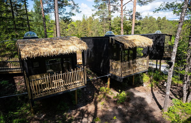 Juliusskogen - Foto 12