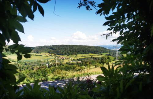 Ferienwohnung Heimatliebe mit Alpenblick - Foto 24