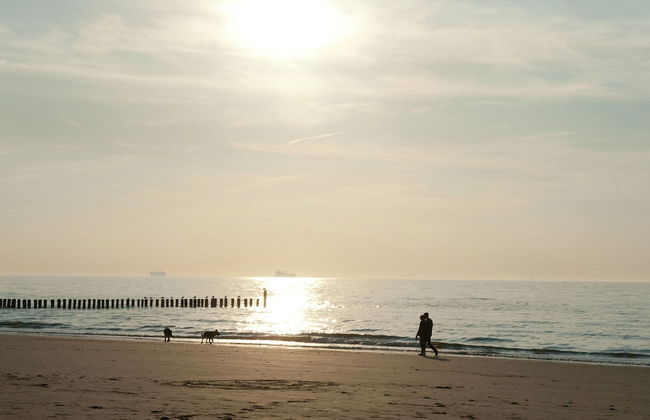 Villa in Cadzand-bad Near North Sea Beach - Photo 29