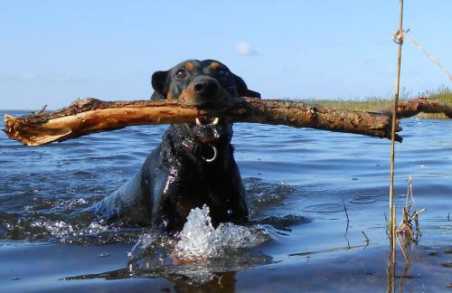 Ferienhaus am Radwanderweg - Foto 26