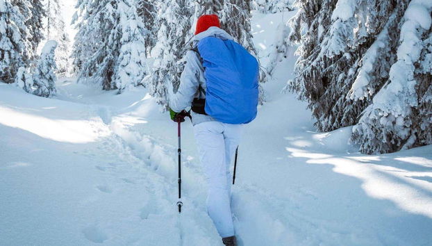 Immerse yourself in Alaskan nature