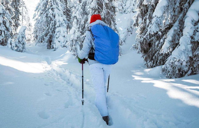 Seward Snowshoeing Tour - Photo 2