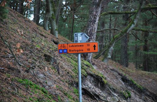 Forest House Sasino-SPA Sauna Balia - Foto 75