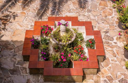 Complejo rural Alhelí - Apartamentos y habitaciones - Foto 37