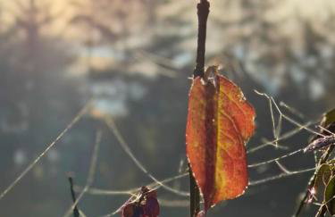 Ostoja Dębowa Studnica - Foto 38