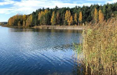 Wohnung mit Dachterasse - Foto 3