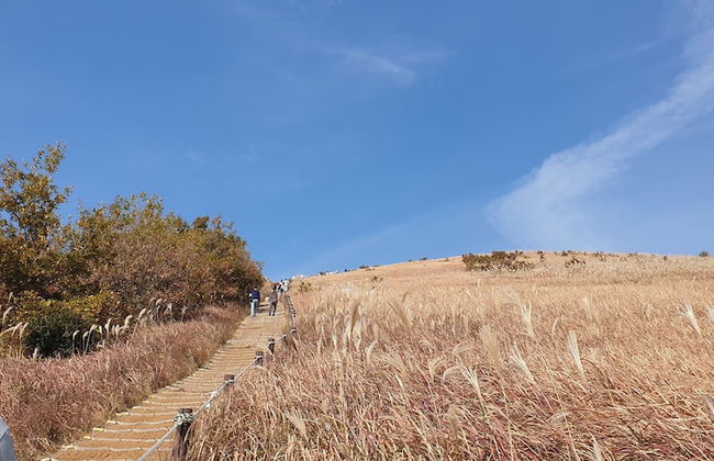 Jeju Ollero - Foto 58