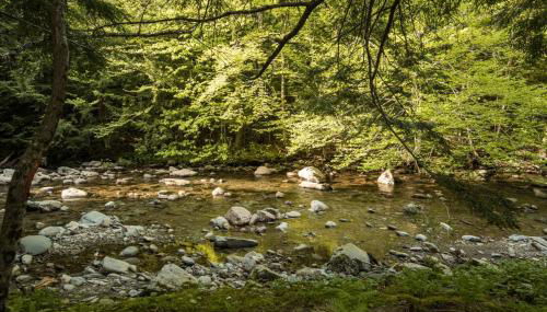 Fox Den Tiny House w/hot tub 1min to Smuggs - Foto 5, Other