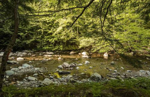 Fox Den Tiny House w/hot tub 1min to Smuggs - Foto 5